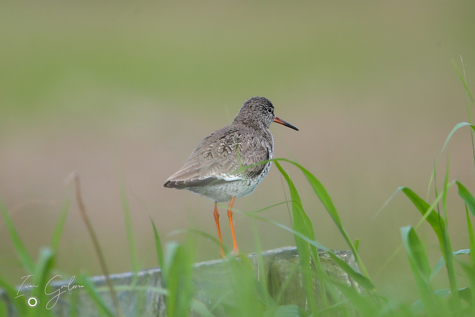 1DX46654 09 juni 2022 0742 15